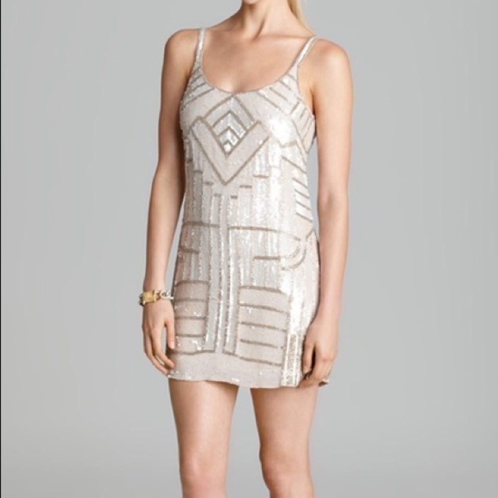 Parker Hayden Beaded Sequin Dress, Size Small